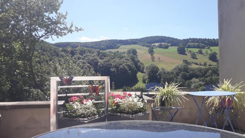 Gite Moderne Proche De Kaysersberg Av Jacuzzi Prive Орбе Екстер'єр фото